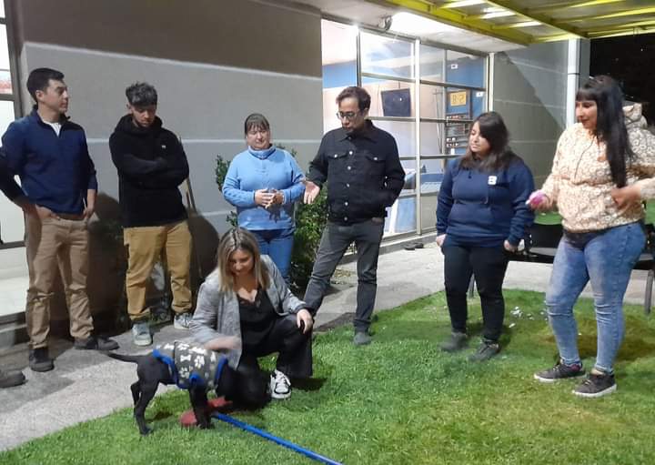 Bomberos de la Segunda Compañía de Melipilla adoptan mascota y hacen un llamado a la tenencia responsable