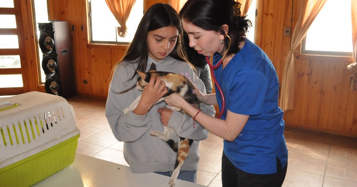 Agrosuper realizó exitoso operativo de bienestar animal y tenencia responsable de mascotas en Requínoa