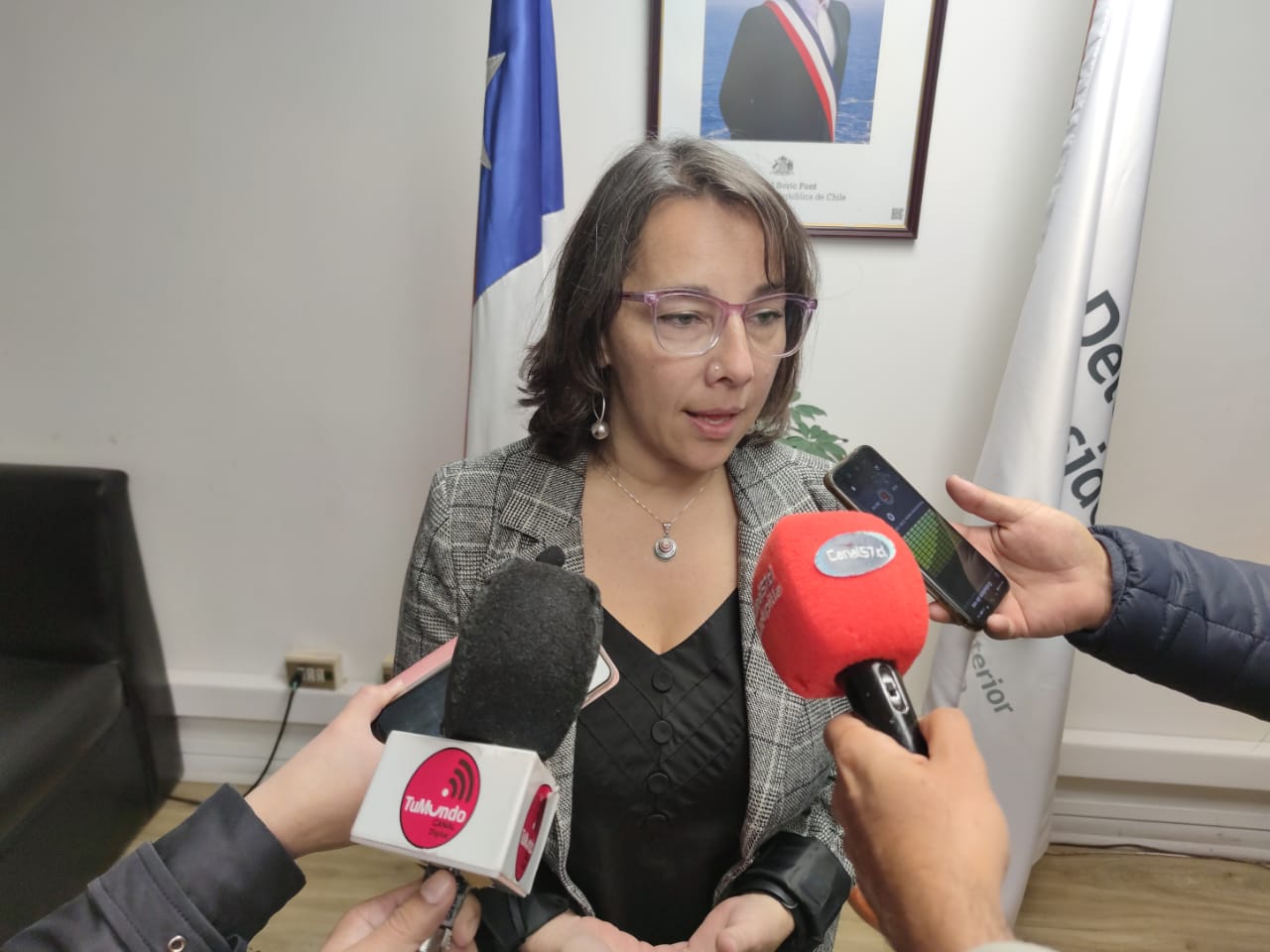 Delegada Saavedra reitera llamado a la prevención de incendios forestales
