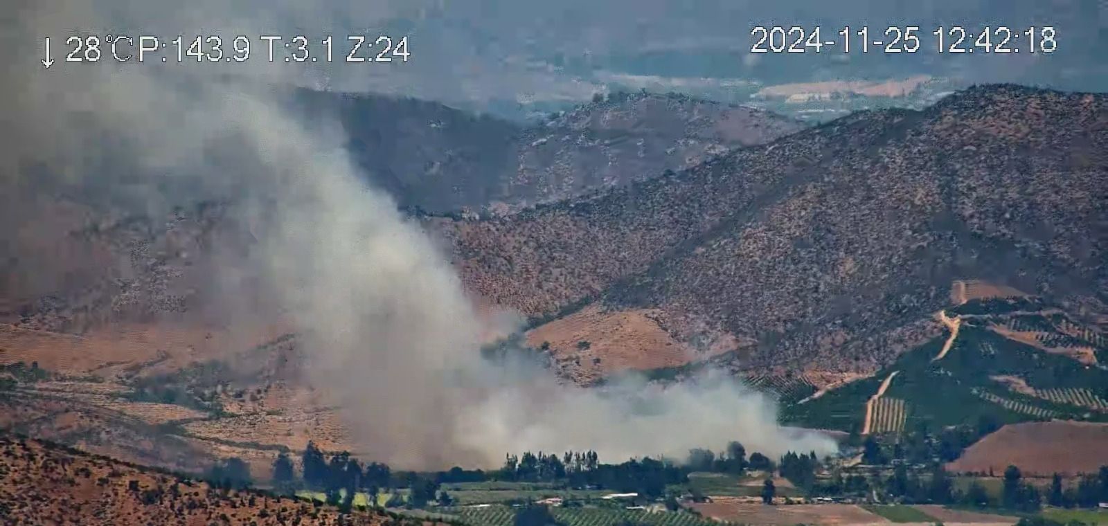 Bomberos y Conaf combaten incendio forestal en Bollenar