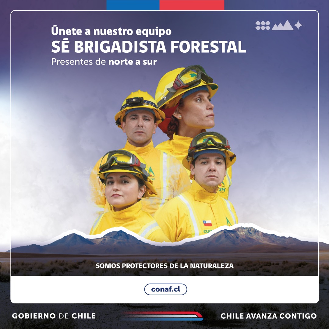 Sigue abierto el proceso de inscripción para ser brigadista forestal de CONAF RM
