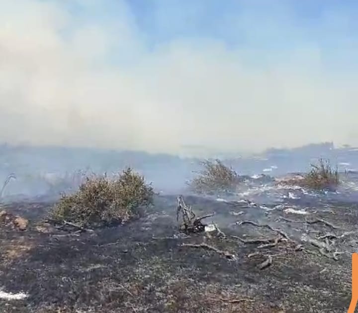 Intensa jornada de trabajo de Bomberos y Conaf tras incendios forestales registrados en Melipilla