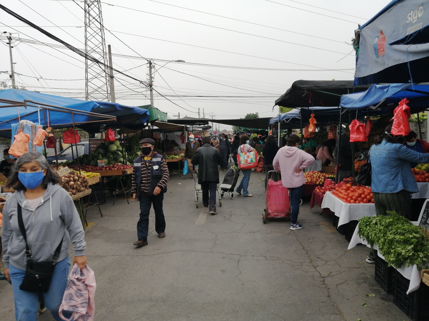Polémica entre dirigentes de la feria de Melipilla: acusan que vocero no los representa y rechazan sus declaraciones en la Cámara