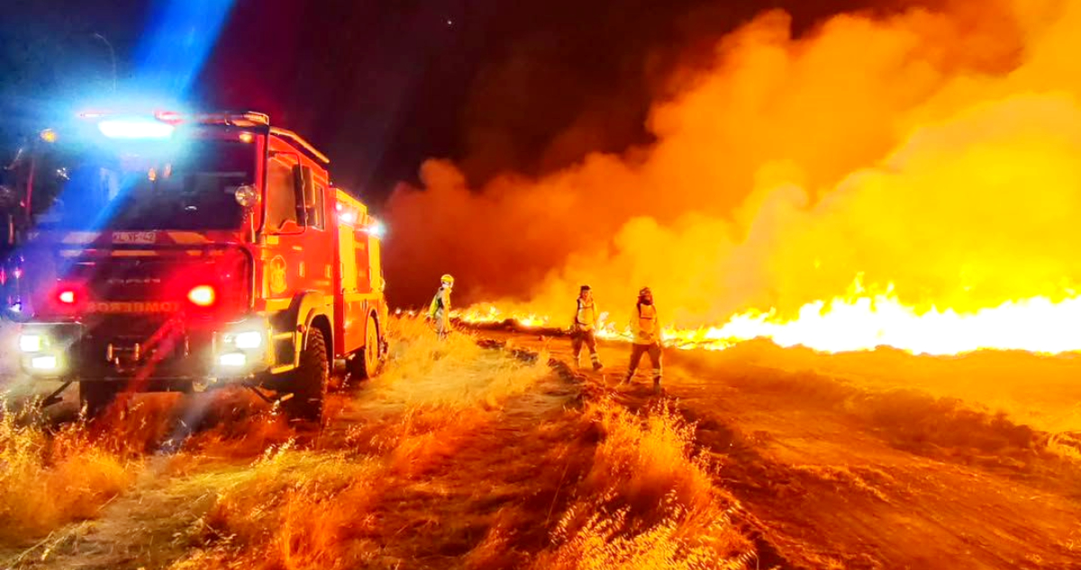 Más de 600 hectáreas afectadas, siete casas destruidas y una persona con graves quemaduras ha dejado incendio forestal en Litueche