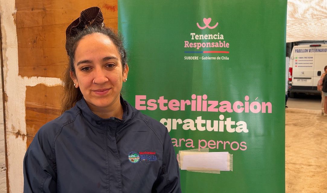 Veterinaria Municipal de Melipilla invita a la comunidad a participar en operativos de esterilización gratuitos