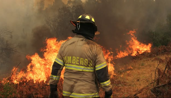 Incendios Forestales: Bomberos de Melipilla se prepara ante pronósticos de altas temperaturas