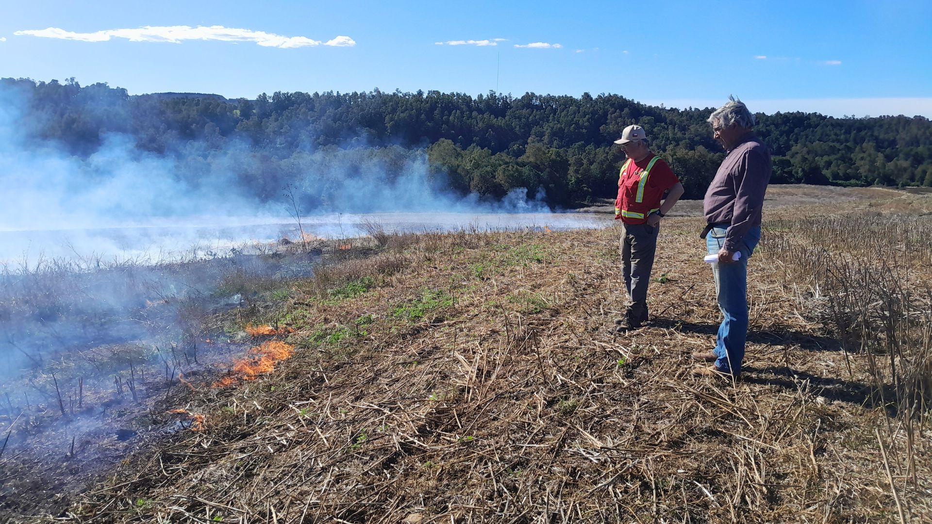 Incendios forestales: SENAPRED restringe el uso del fuego en quemas agrícolas en la RM