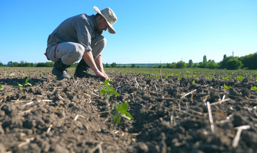 Escasez hídrica: Advierten complejo panorama en comunas de San Pedro y Alhué