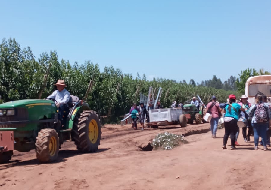 Lanzan programa de protección para trabajadores agrícolas ante altas temperaturas en la zona