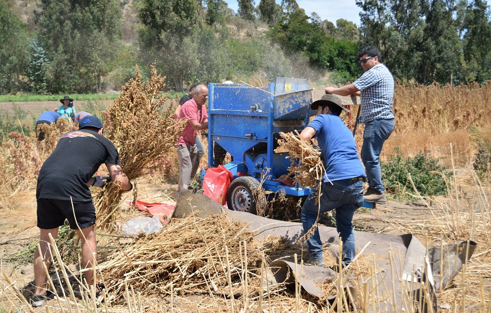 Ministerio de Agricultura hace un llamado a “faena cero” ante pronóstico de altas temperaturas