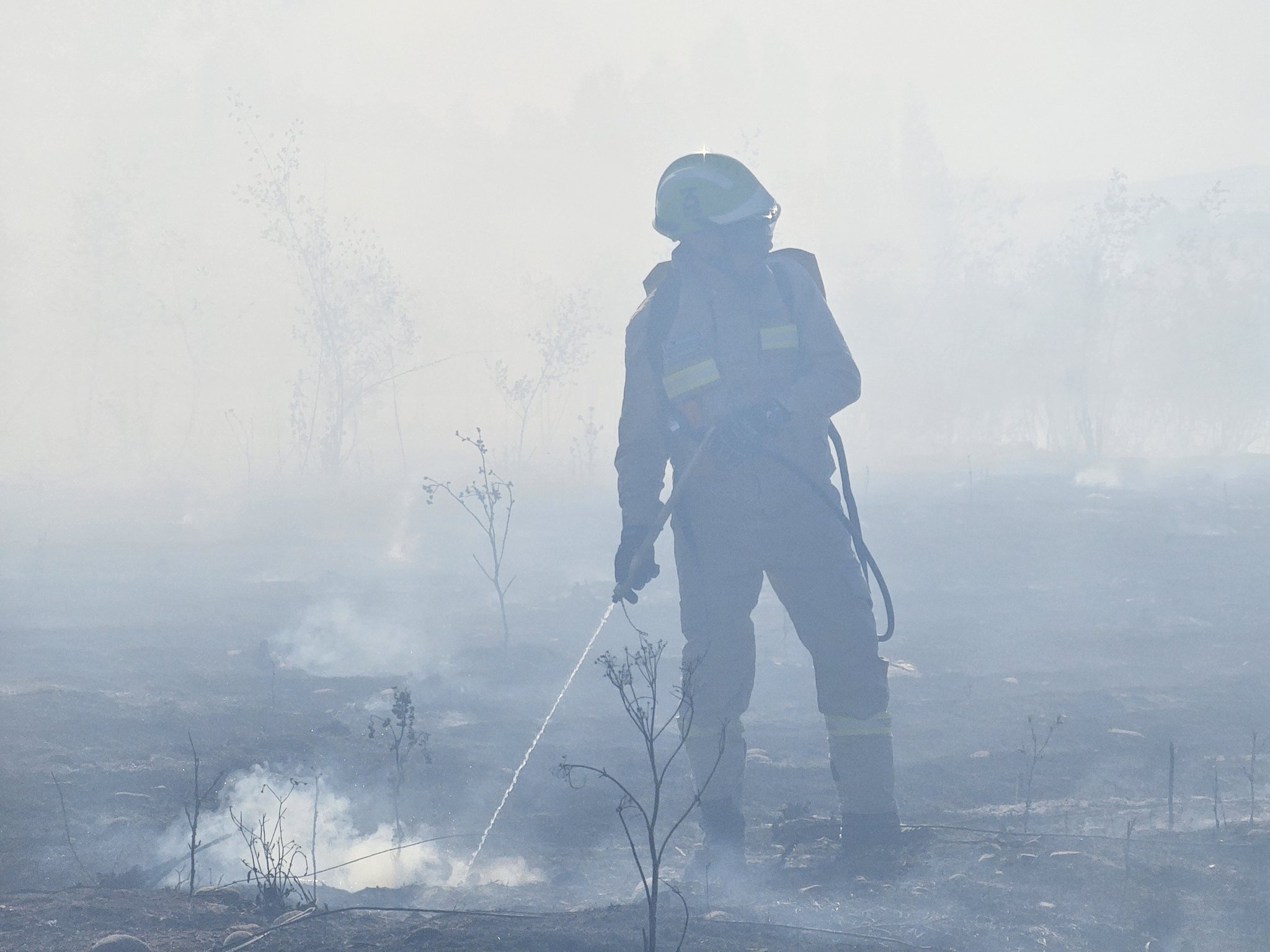 Incendio forestal en Talagante: detienen a trabajador agrícola por su responsabilidad en el inicio de las llamas