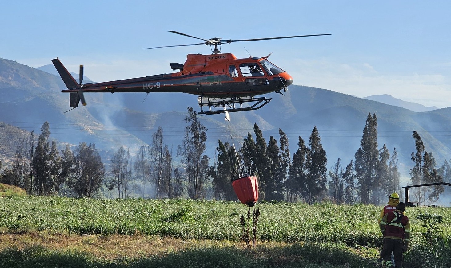 Incendio forestal en Talagante: Más de 4 hectáreas afectadas y viviendas dañadas