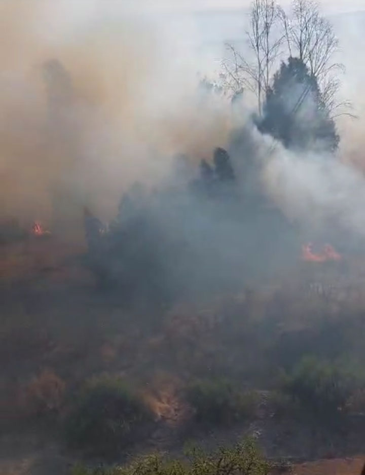 Más de 20 hectáreas consume incendio forestal en Popeta