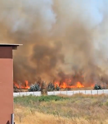 Incendio forestal de proporciones amenazó sector habitacional en Talagante.
