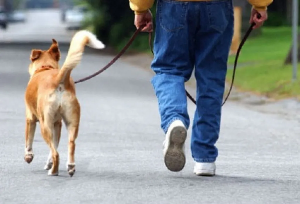 Ruta del Abandono organiza caminata junto a tu mascota