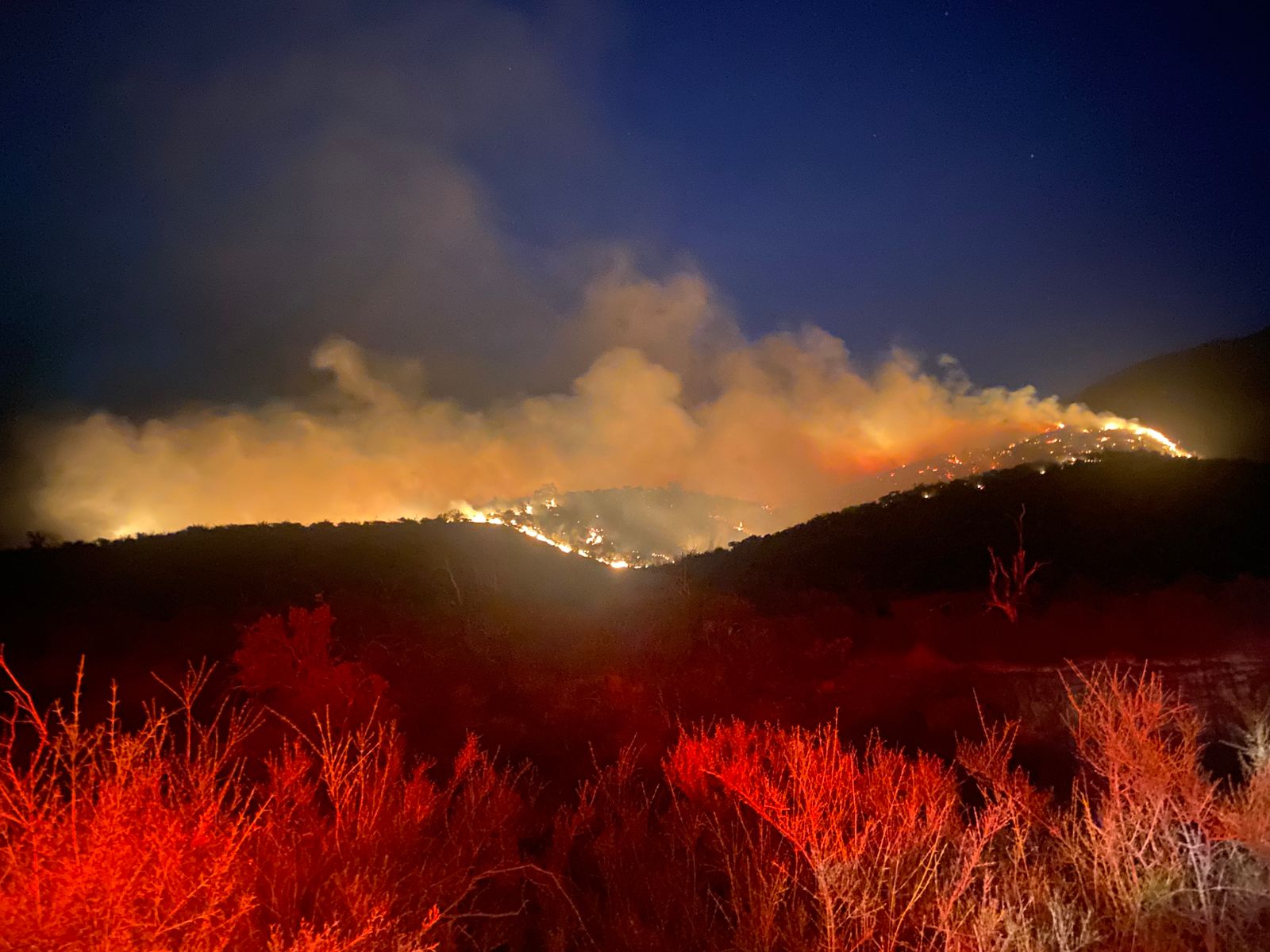 Incendio forestal en Santa Filomena se mantiene activo