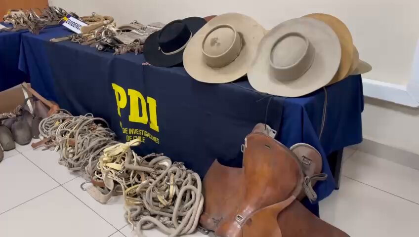 Detienen en Talagante a integrante de banda interregional que robó aperos y monturas por $100 millones