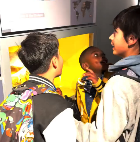 Niños de Curacaví visitaron el Museo Nacional de Historia Natural