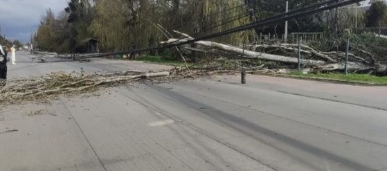 Falla eléctrica dejó a más de 15 mil clientes sin suministro en la provincia de Talagante