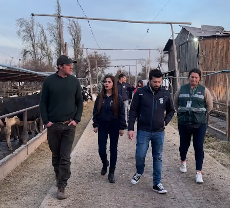 Autoridades fiscalizan Fundo Marruecos de Padre Hurtado por denuncias por malos olores