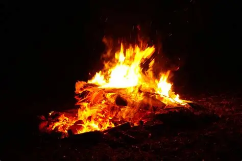 Detienen a hombre acusado de incendiar casa de su expareja en San Antonio