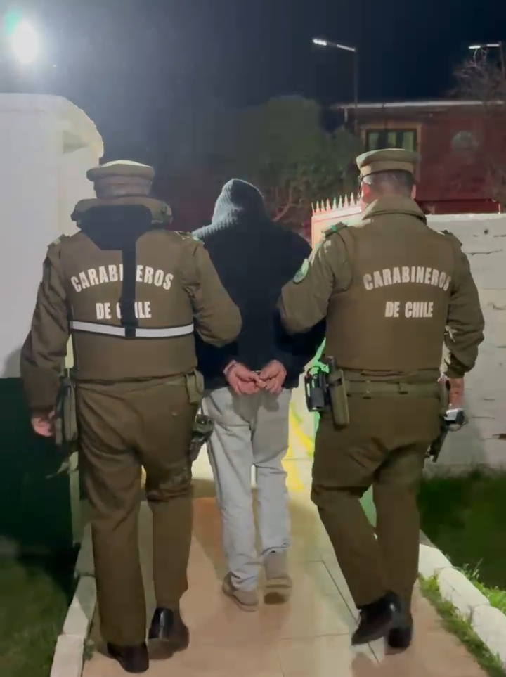 Carabineros desarticula matadero clandestino en Culiprán: hay una persona detenida