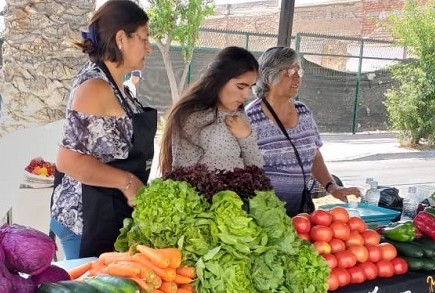 Melipilla será sede de jornada informativa hortícola dirigida a productores no usuarios de INDAP