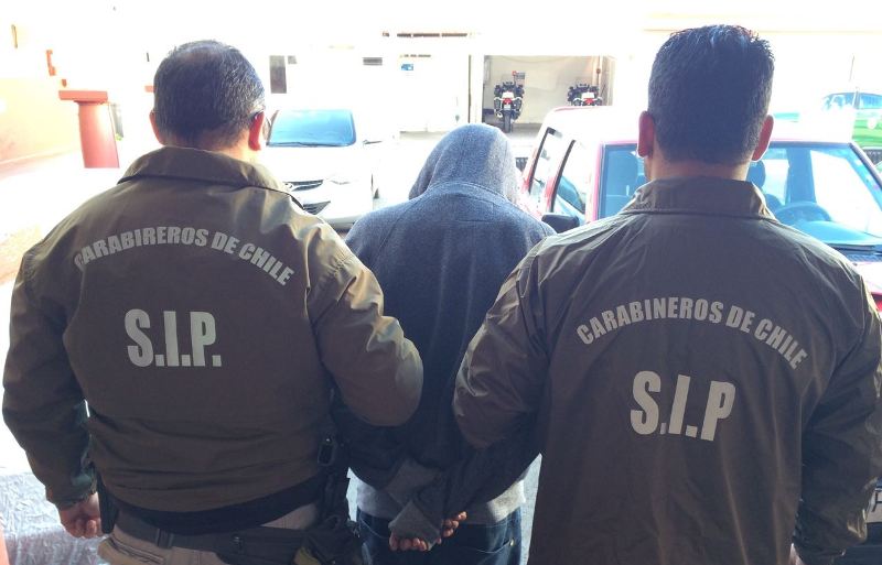 Carabineros incauta cultivo indoor de cannabis y municiones en operativo en sector Ostolazas