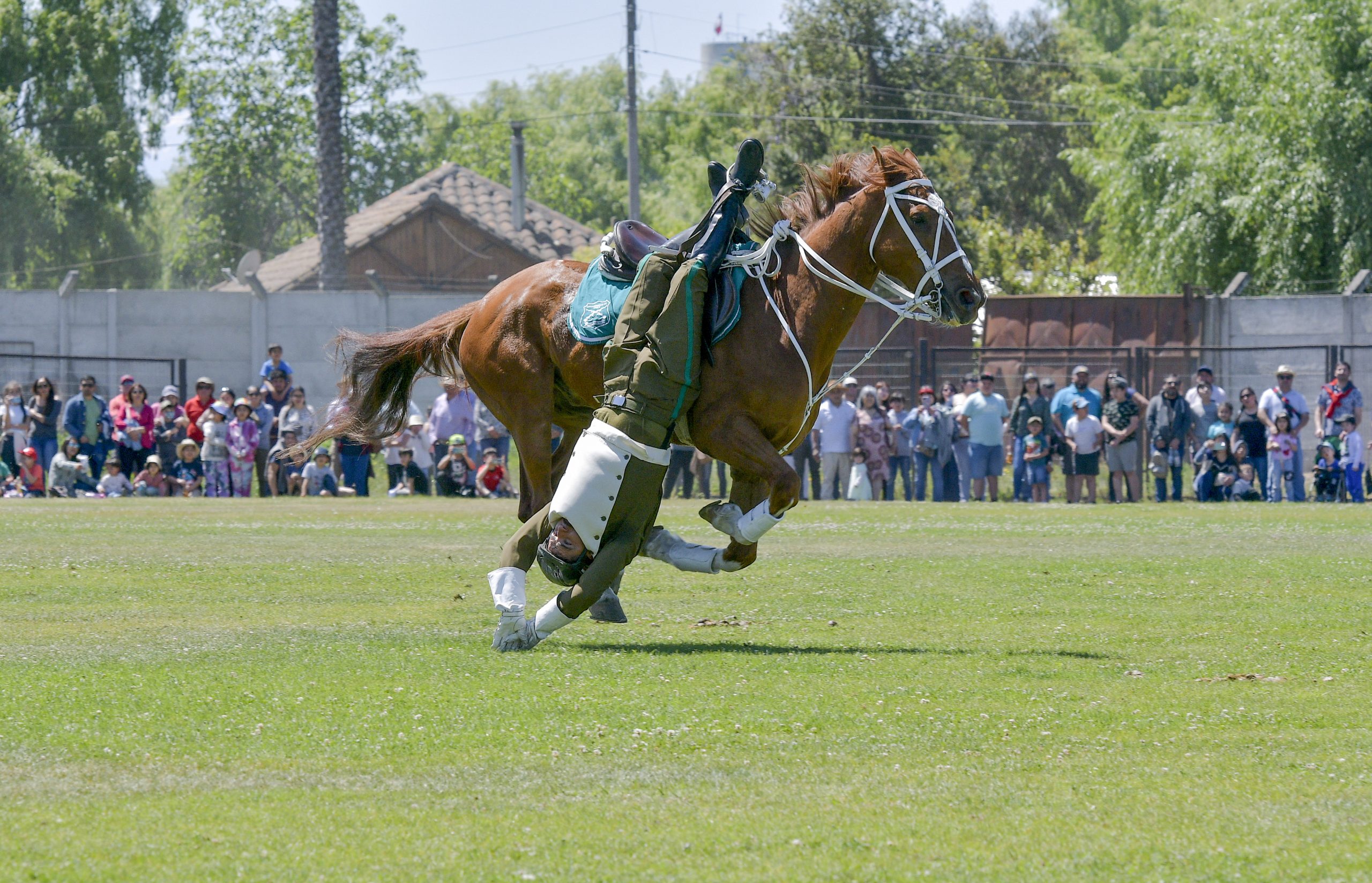Accidente en presentación del Cuadro Verde interrumpe espectáculo en Parque Padre Hurtado