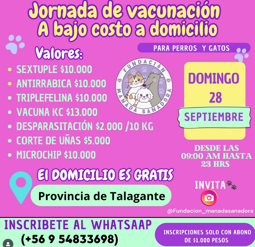 Fundación Manada Sanadora impulsa jornada de vacunación domiciliaria con valores accesibles para proteger la salud animal en la provincia de Talagante