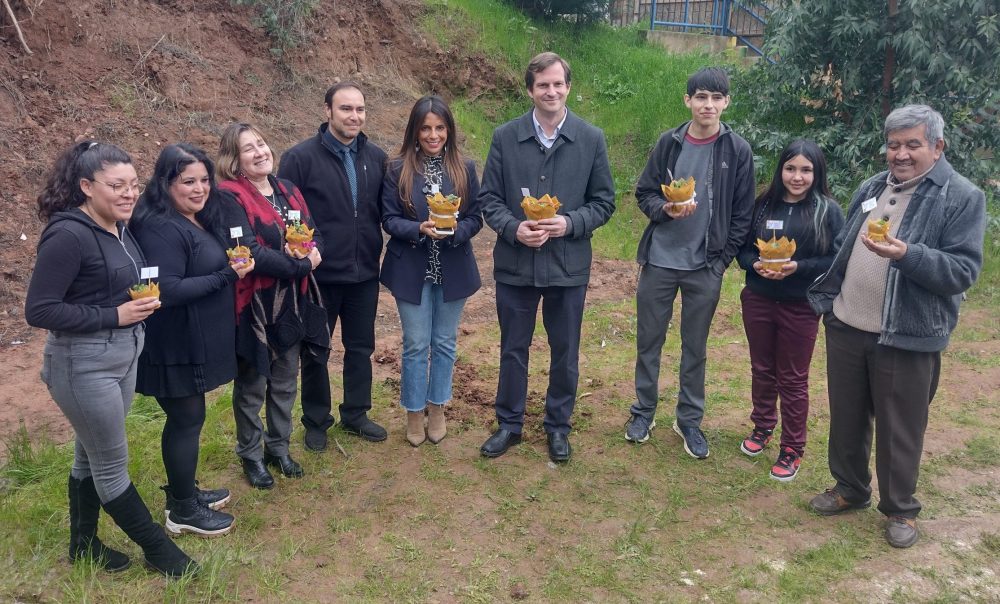 Comienzan trabajos para habilitar muro de contención en la escuela Huilco Alto