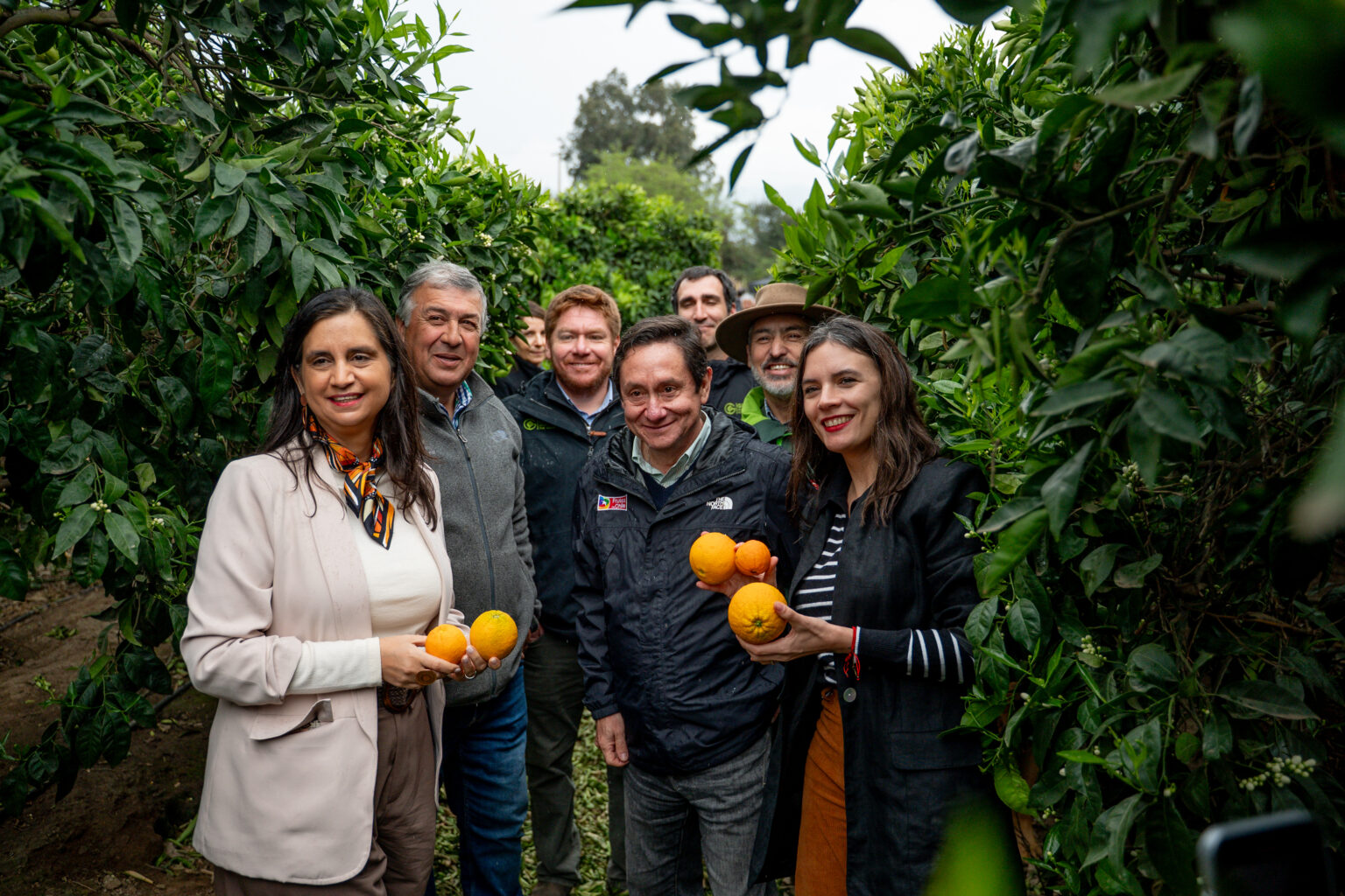 Desde Curacaví : Ministras Vallejo y Fernández destacan acuerdo Chile-México para la exportación de naranjas