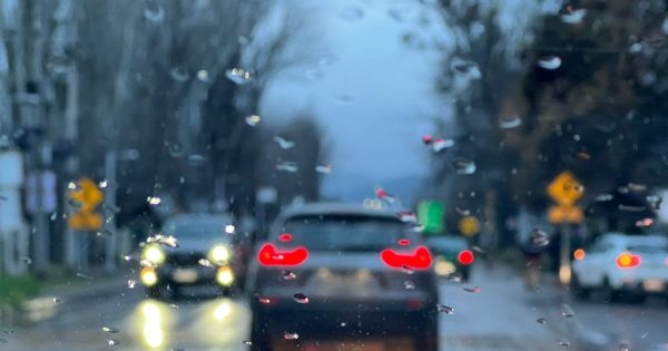 Municipalidad de Melipilla entrega balance por sistema frontal: accidente de tránsito, caída de árboles y suspensión de evento