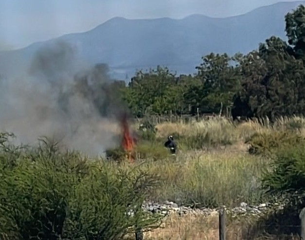 Incendio forestal en La Islita moviliza a brigada Roble 5 y Bomberos de Isla de Maipo