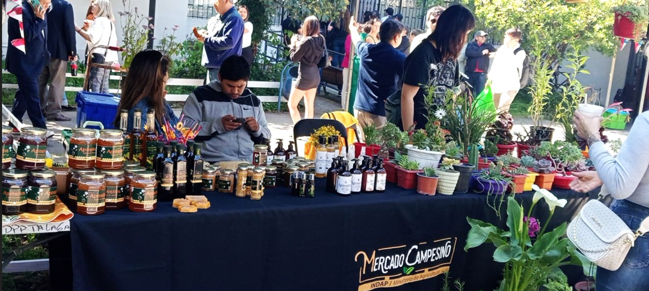 Mercadito campesino debuta en el patio de la Delegación Presidencial de Talagante con productos locales y espíritu colaborativo