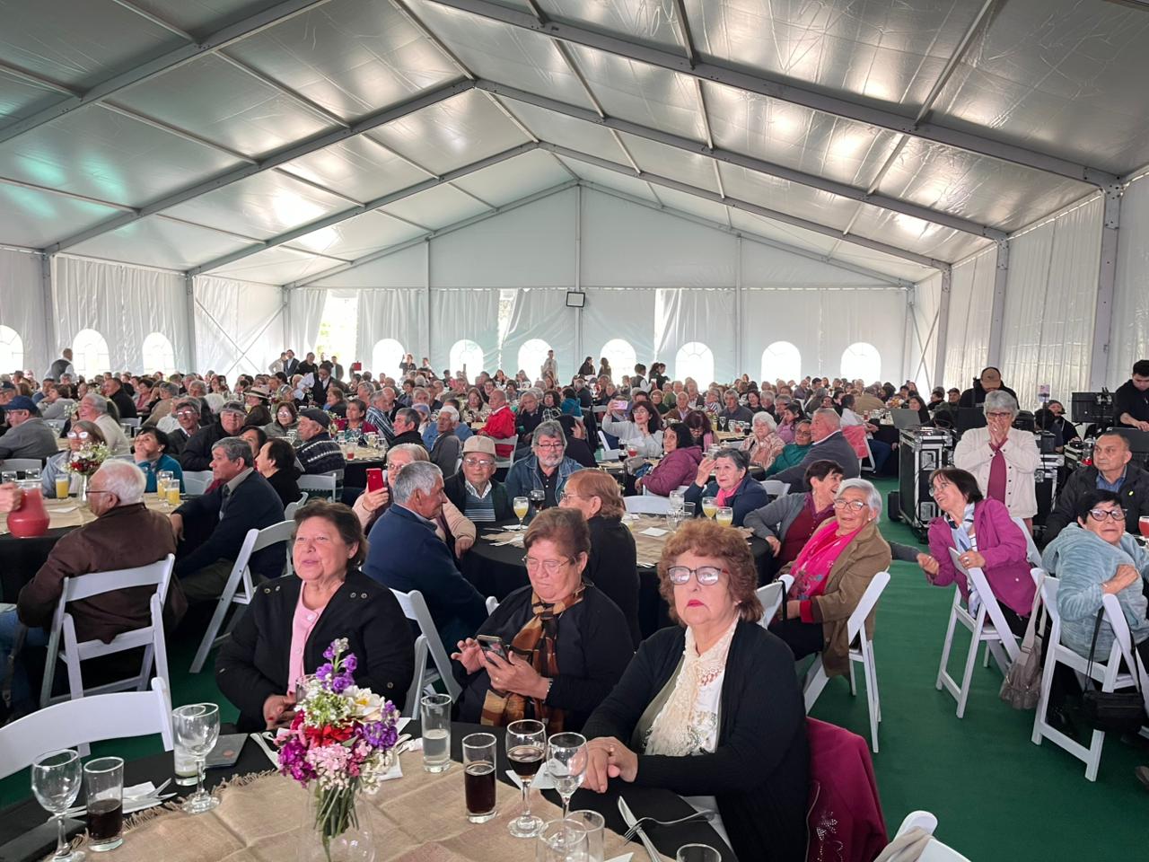 Más de 600 vecinos participaron de la celebración del día de las Personas Mayores en Alhué 