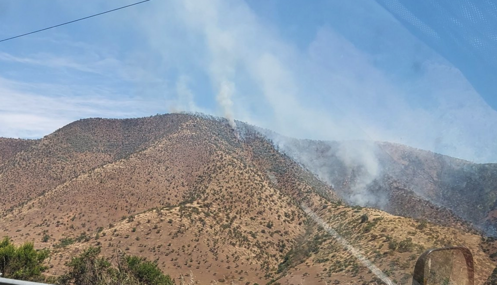 Incendio forestal de Curacaví se extiende a 70 hectáreas y sigue en combate