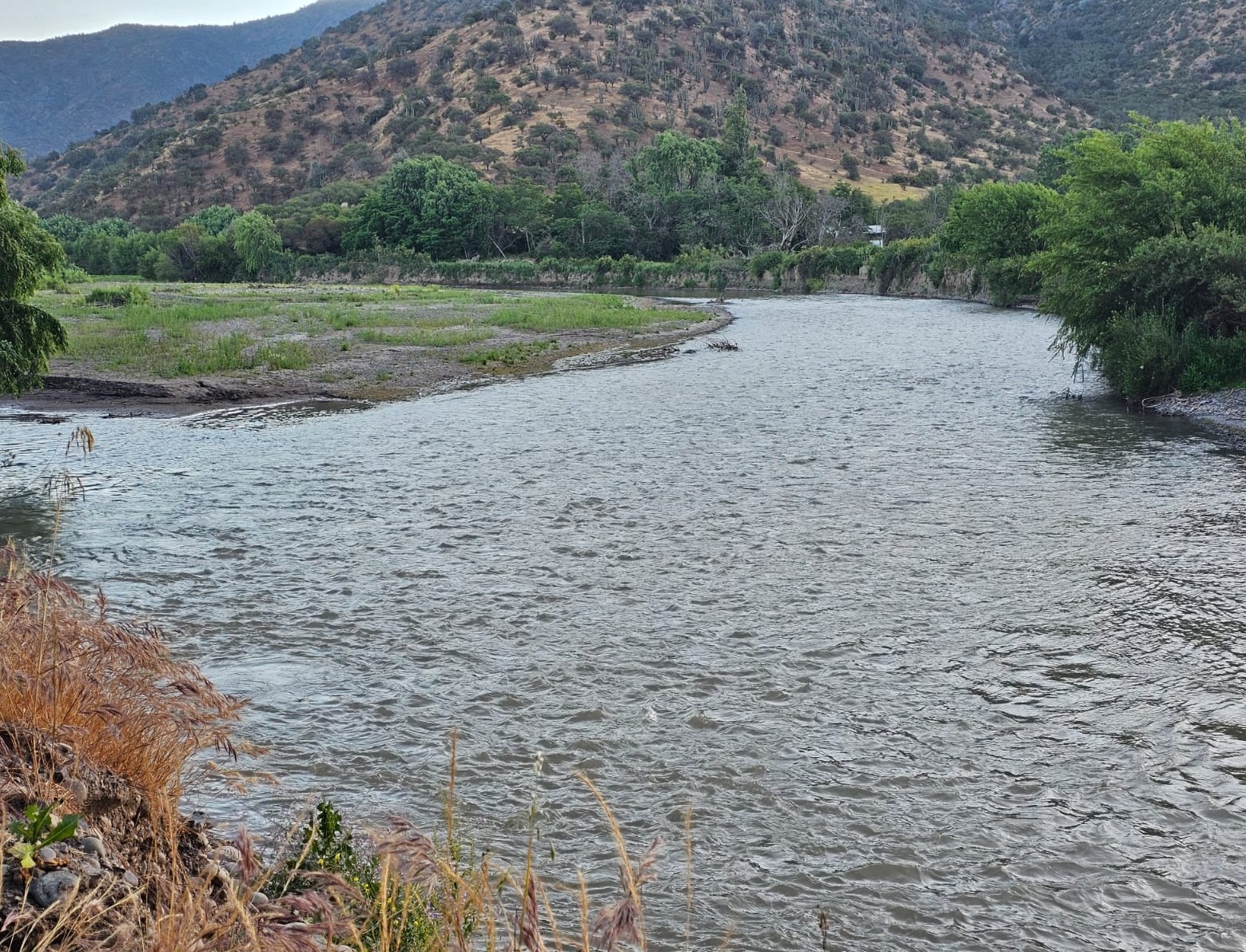 Activan protocolo de búsqueda por menor desaparecido en el río Maipo