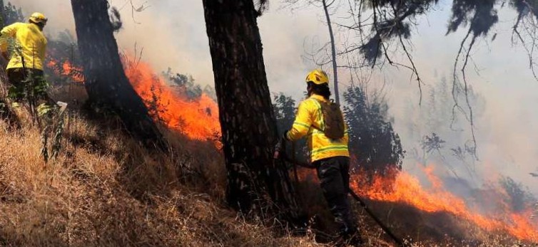 Incendio forestal de baja magnitud moviliza a equipos de emergencia en Isla de Maipo