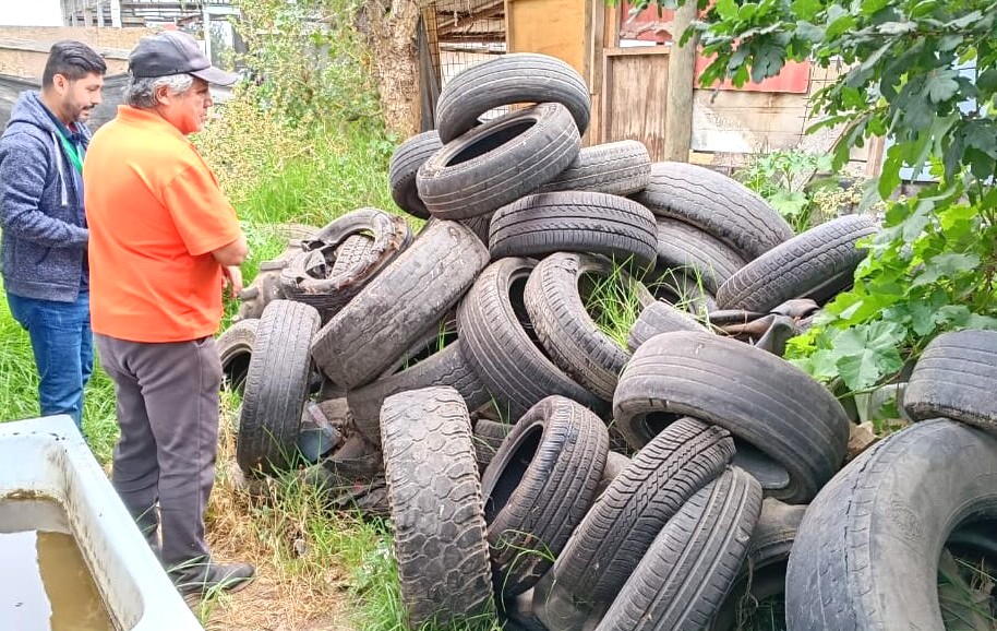 Retiro de neumáticos en desuso en María Pinto busca proteger el medio ambiente