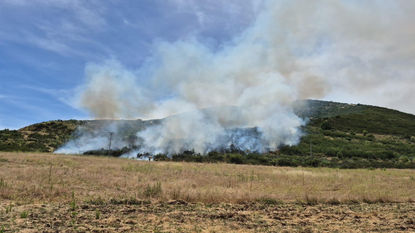 Siete hectáreas de pastizal y matorral afectó incendio forestal en El Carrizo de Puangue