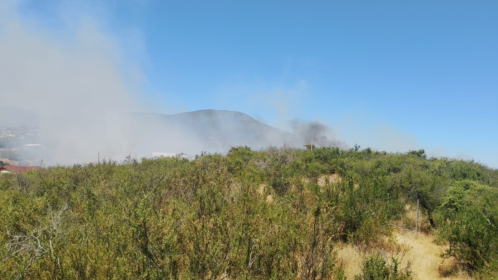 Bomberos de Melipilla trabaja en segunda alarma de incendio en sector Las Tinajas