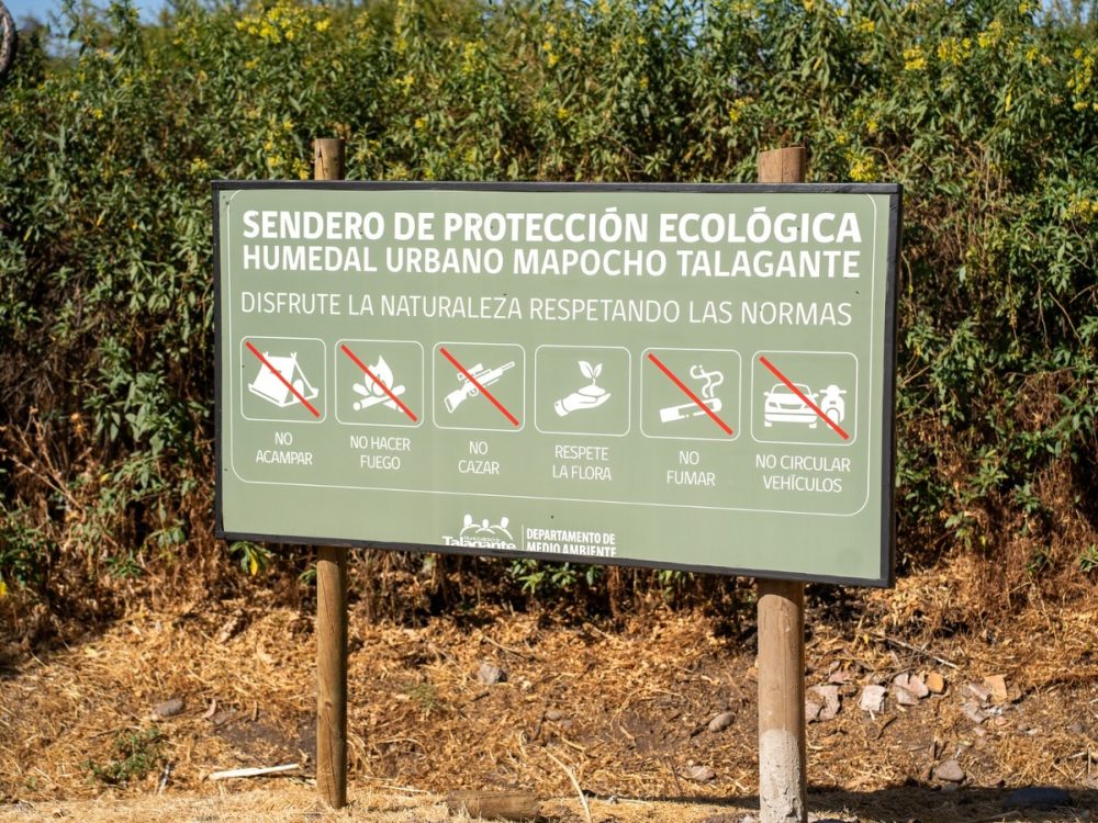 Talagante refuerza protección del humedal con limpieza, iluminación y llamado al respeto comunitario