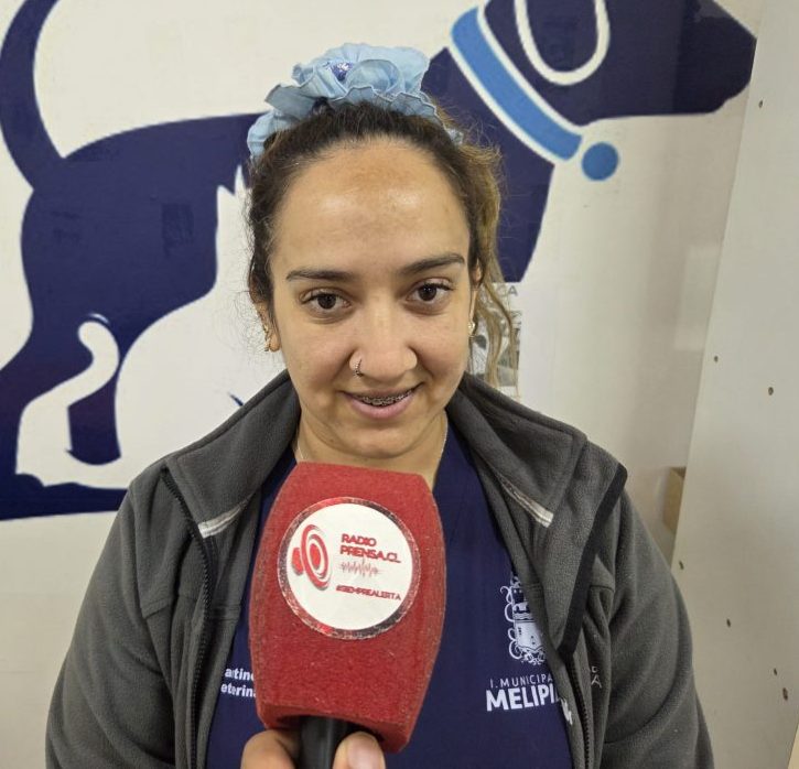 Campaña de vacunación felina se realizará durante diciembre