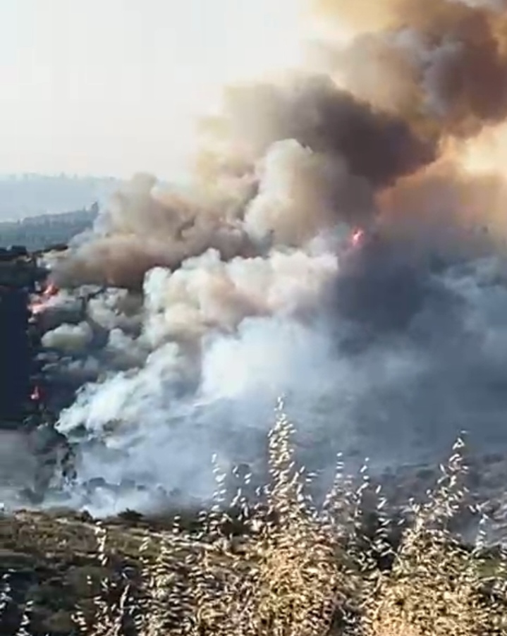 Incendio forestal obliga evacuación preventiva en sectores de San Pedro