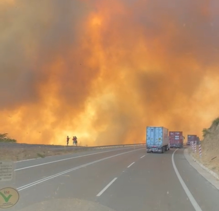Actualización: Incendio forestal en San Pedro arrasa con 150 hectáreas y se mantiene en combate