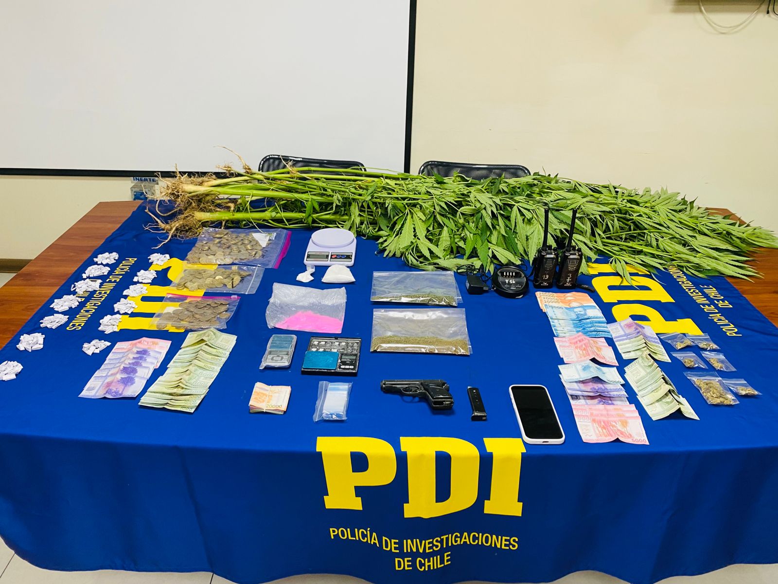 PDI de Melipilla allana seis domicilios y decomisa droga, dinero y un arma de fuego