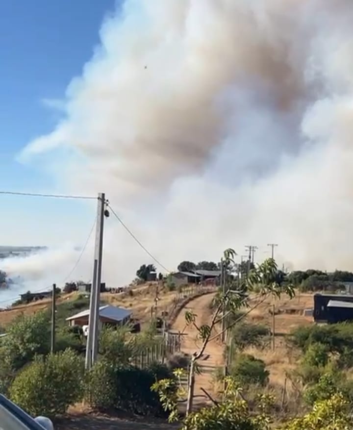 Aumentan a 10 las viviendas afectadas por incendio forestal en San Pedro: 2.500 hectáreas consumidas