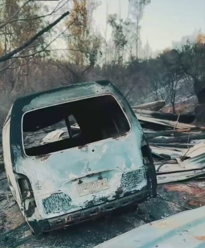 Municipalidad de San Pedro se querelló contra quien resulte responsable de devastador incendio forestal