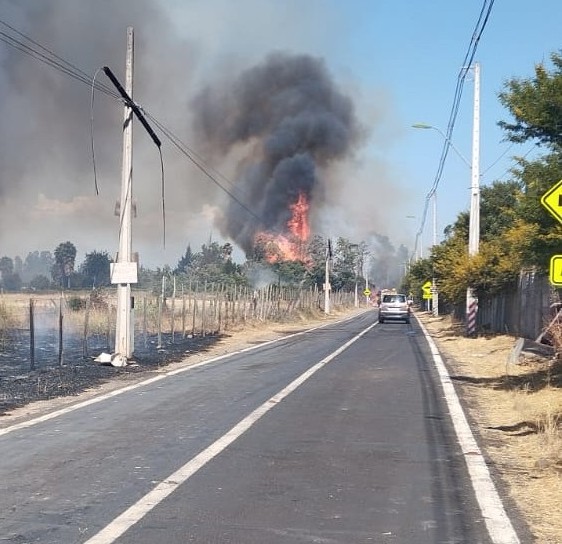 Incendio forestal en San Javier, comuna de Peñaflor, mantiene estado de combate y alerta roja